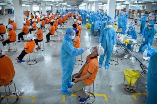 胡志明市醫療廳_8095-SYT-NVY號公文